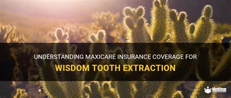does maxicare cover wisdom tooth extraction